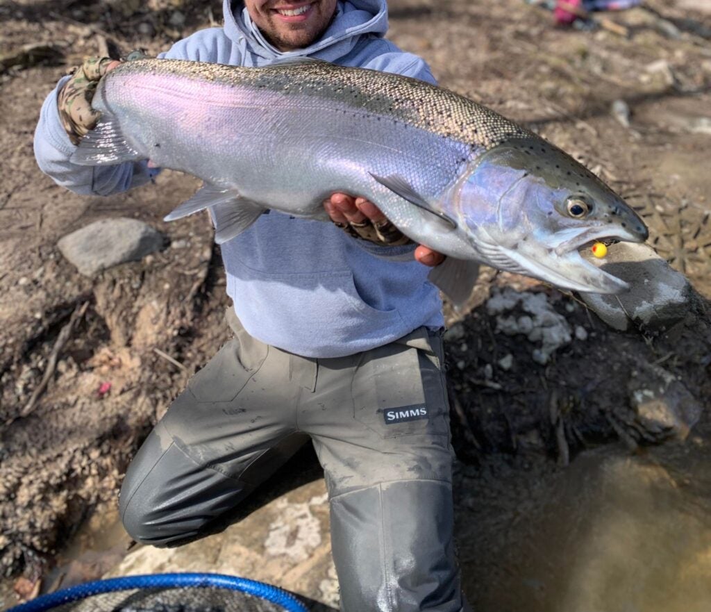 The Best Trout Lures of 2023