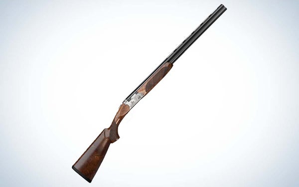 beretta silver piegon 3