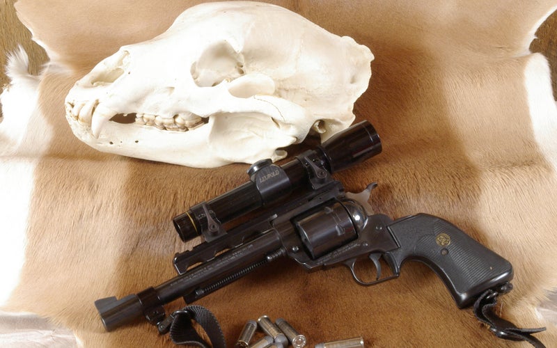 Ruger Super Blackhawk .44 Magnum is our pick for best revolver.