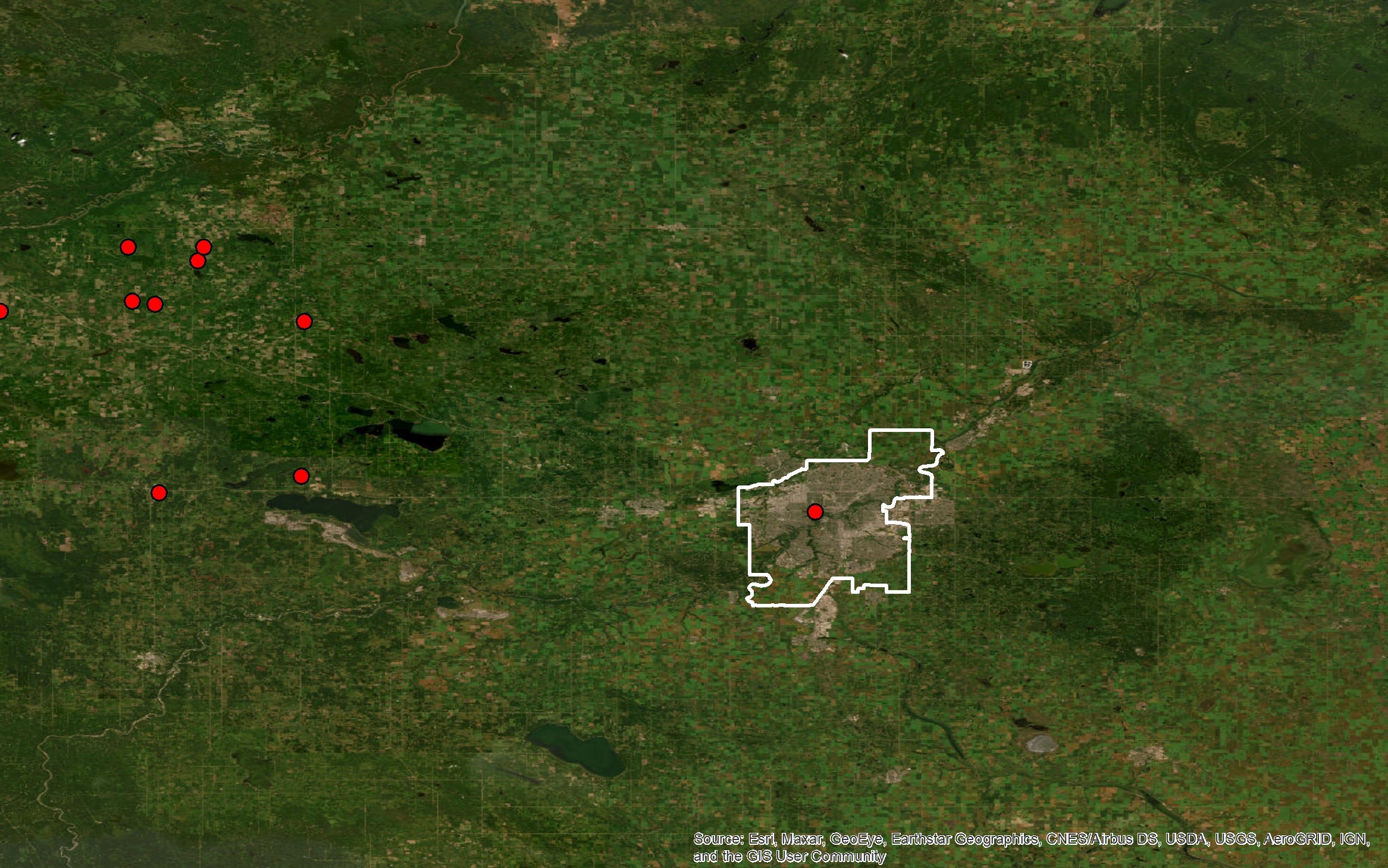 some pig sightings near Edmonton