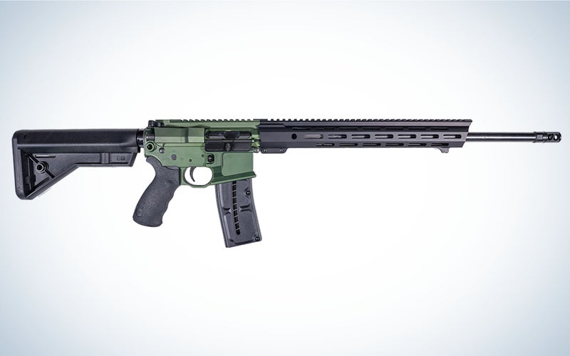 The Franklin Armory F17-L is the best varminter.