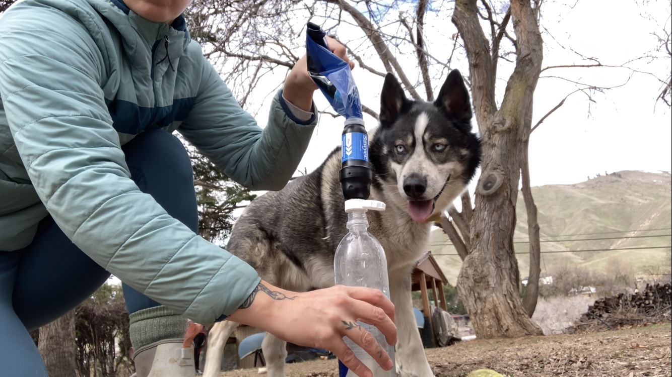 Best Backpacking Water Filters of 2023, Tested and Reviewed