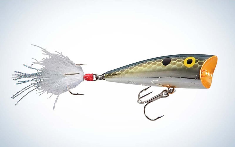 A green and orange Rebel Pop-R lure