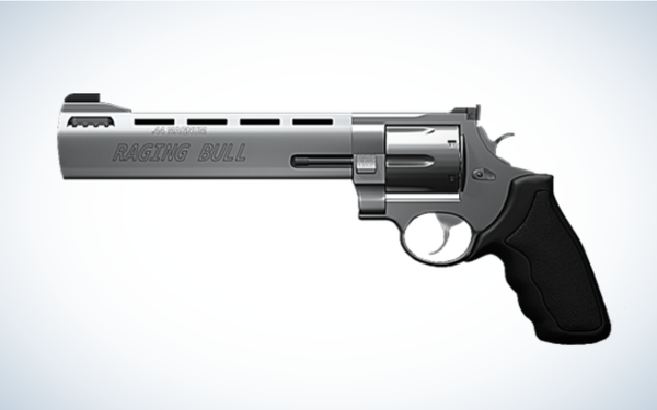 Taurus Raging Bull