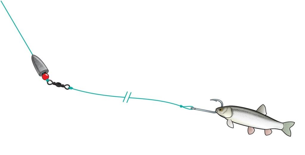 Bullet Bait Rig