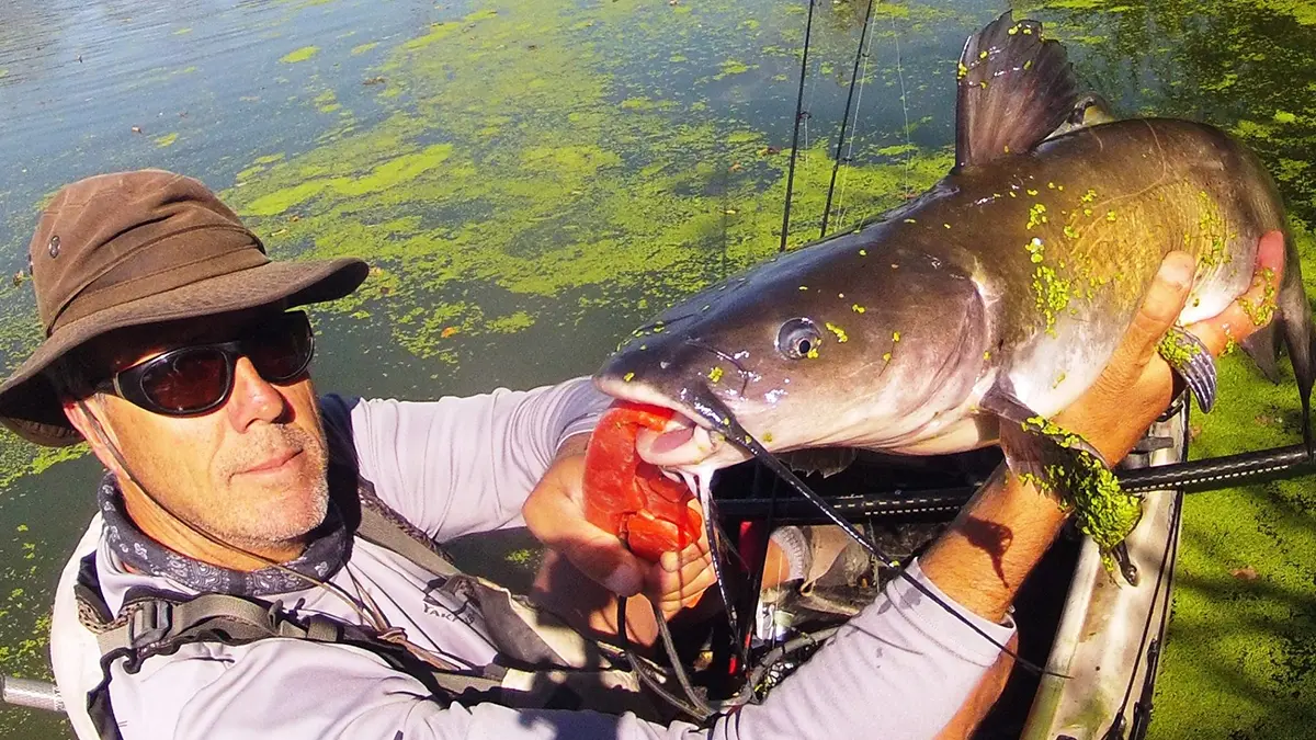 anchoring up for kayak catfishing