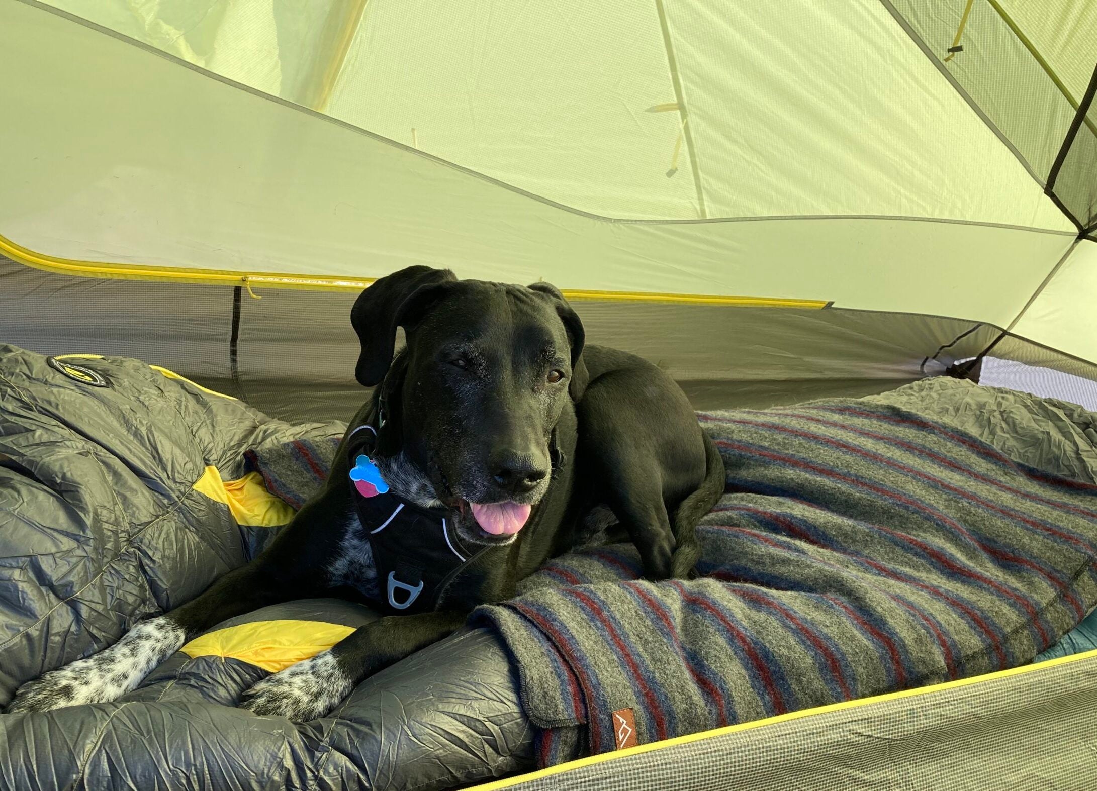 Best Camping Blankets of 2023, Tested and Reviewed