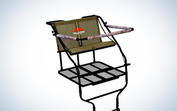 Best Two Man Ladder Stands