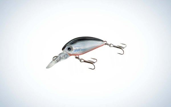 Bass Pro Shops XTS crankbait