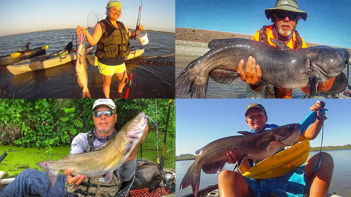 Lots of Fun catfishing in a kayak