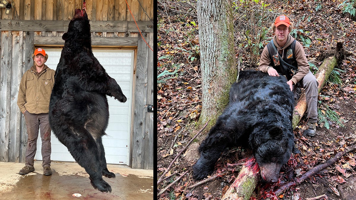 21-Year-Old Hunter’s 695-Pound Black Bear Confirmed as Western North