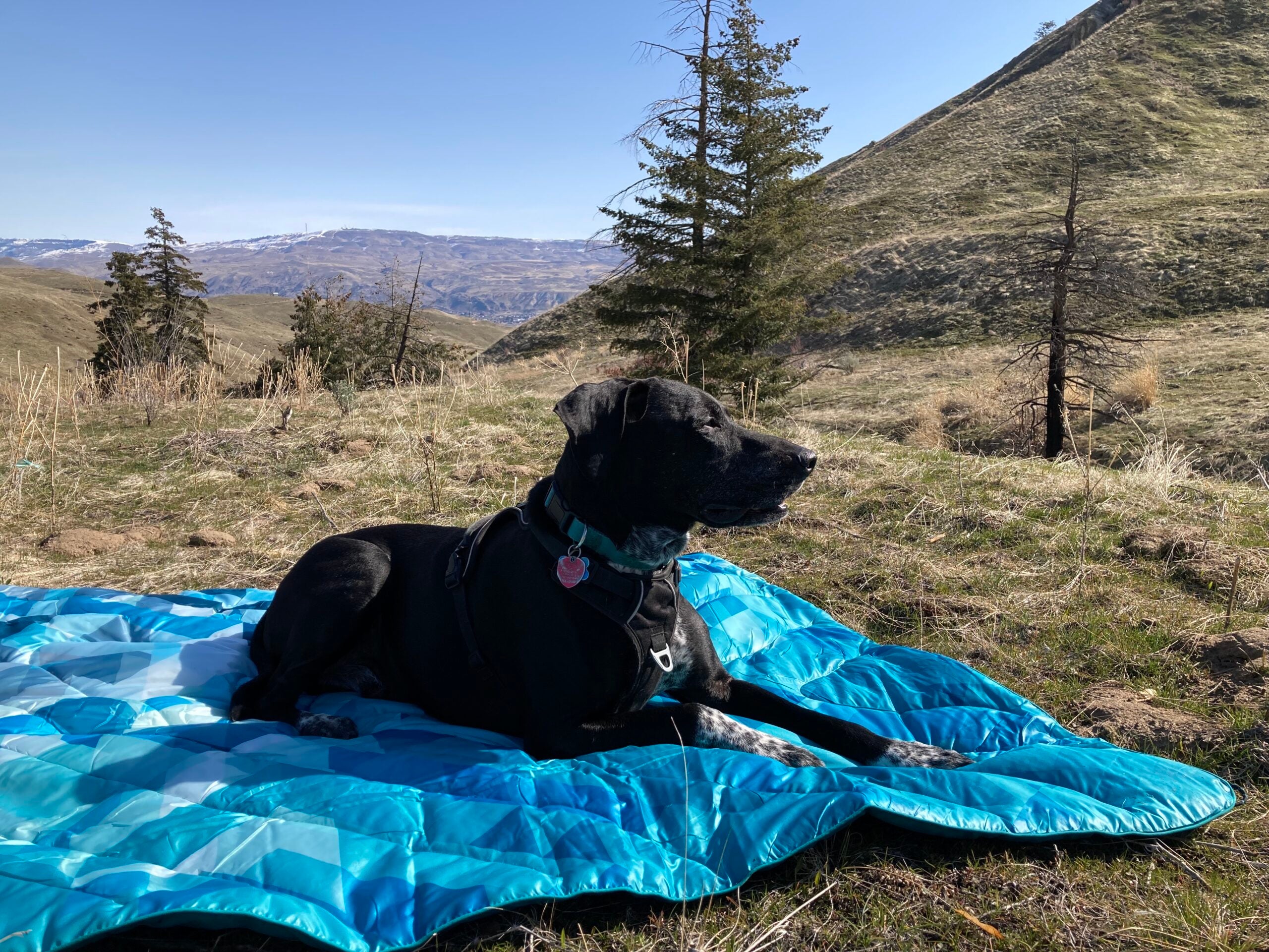 Best Camping Blankets of 2023, Tested and Reviewed