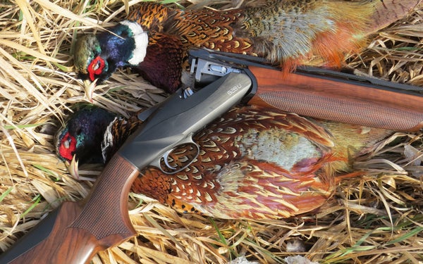 photo of Benelli 828U with pheasants