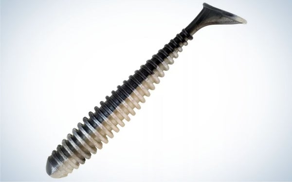 Best_Trout_Bait_Basspro