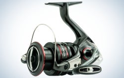The Best Trout Spinning Reels of 2023