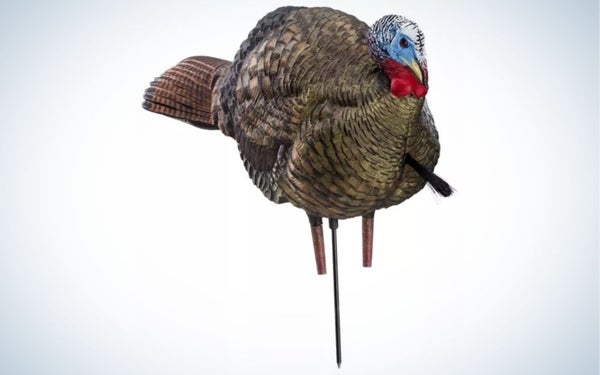 Best_Turkey_Decoys_CabelaS_2