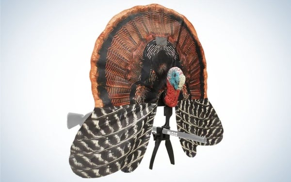 Best_Turkey_Decoys_Cabelas_2