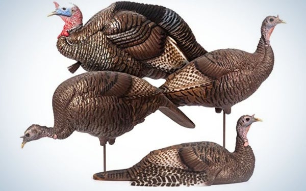 Best_Turkey_Decoys_Dave_Smith_Decoys