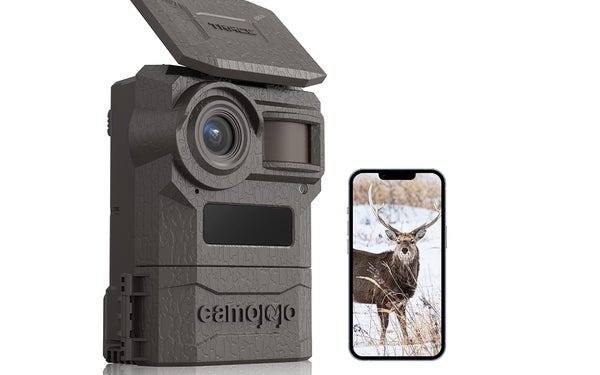 photo of Camojojo Trace trail camera