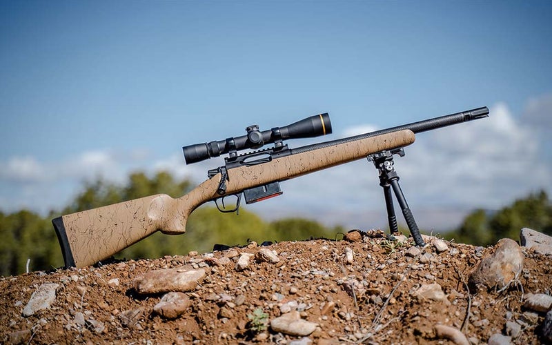 A universally fun rifle to shoot.
