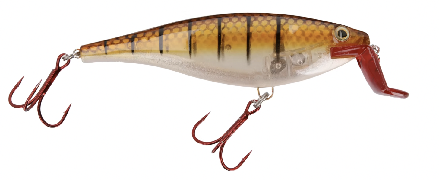 photo of diving plug