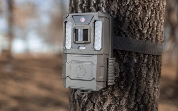 The Bushnell Prime Low Glow Trail Camera.