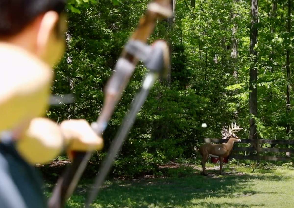 The Best Archery Targets of 2023, Tested and Reviewed Afield Daily