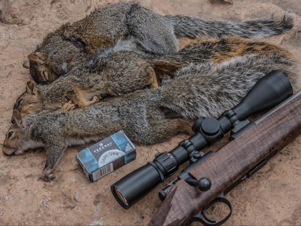 The 17 HMR vs The 22 LR