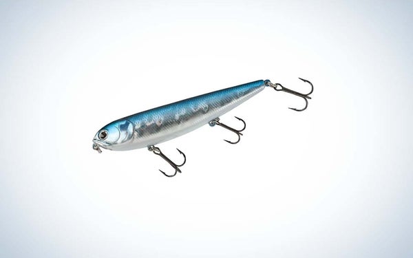 Lucky Craft Sammie top water lure