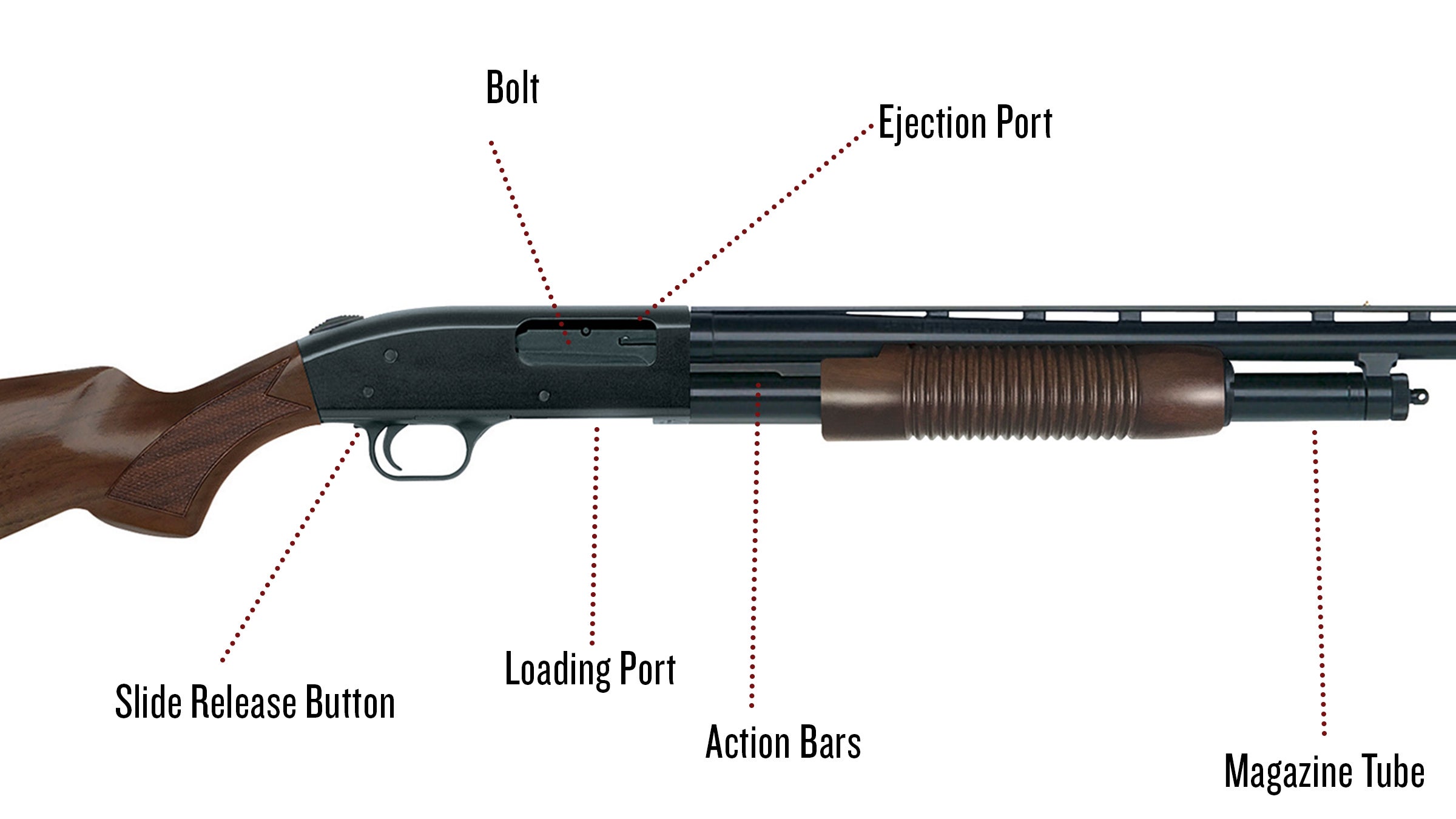 Parts Of A Shotgun: A Complete Guide – Afield Daily