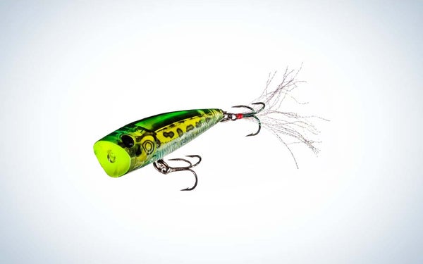 Yo-Zuri 3BD Popper topwater lure