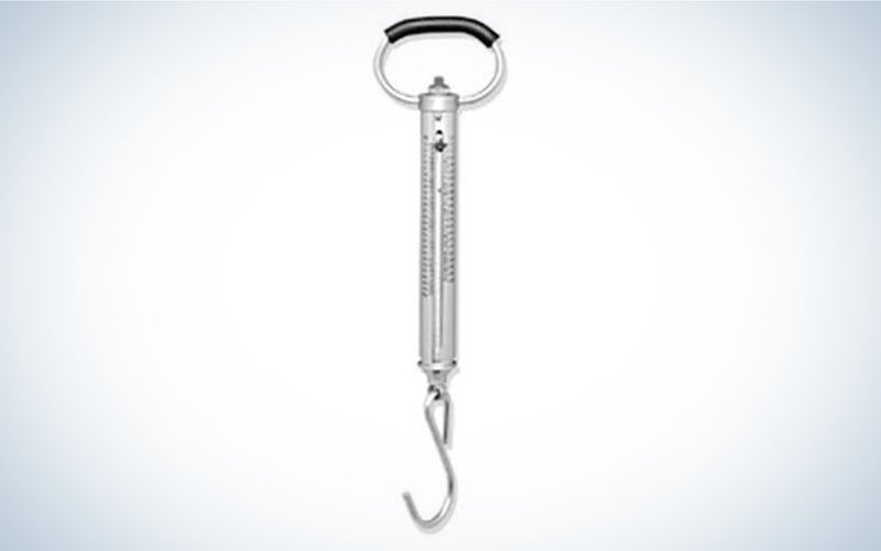 The Chatillon IN Series Fish and Game Linear Scales is the best for spring.