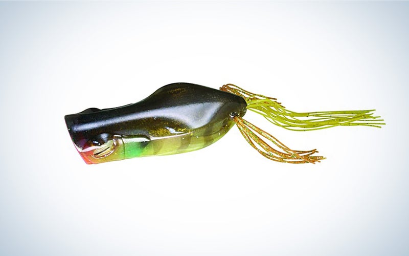 The Jackall Gavacho walks and pops making it a versatile frog that comes through cover well