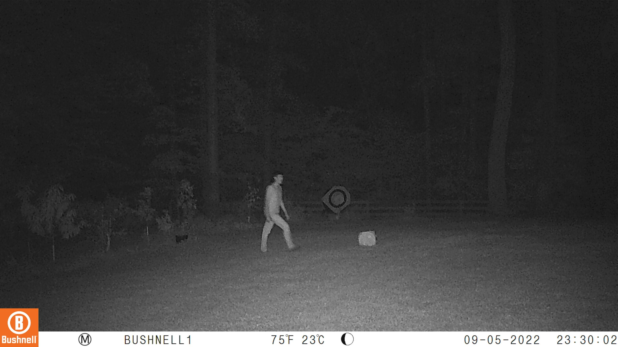 Deer Hunting Gear photo