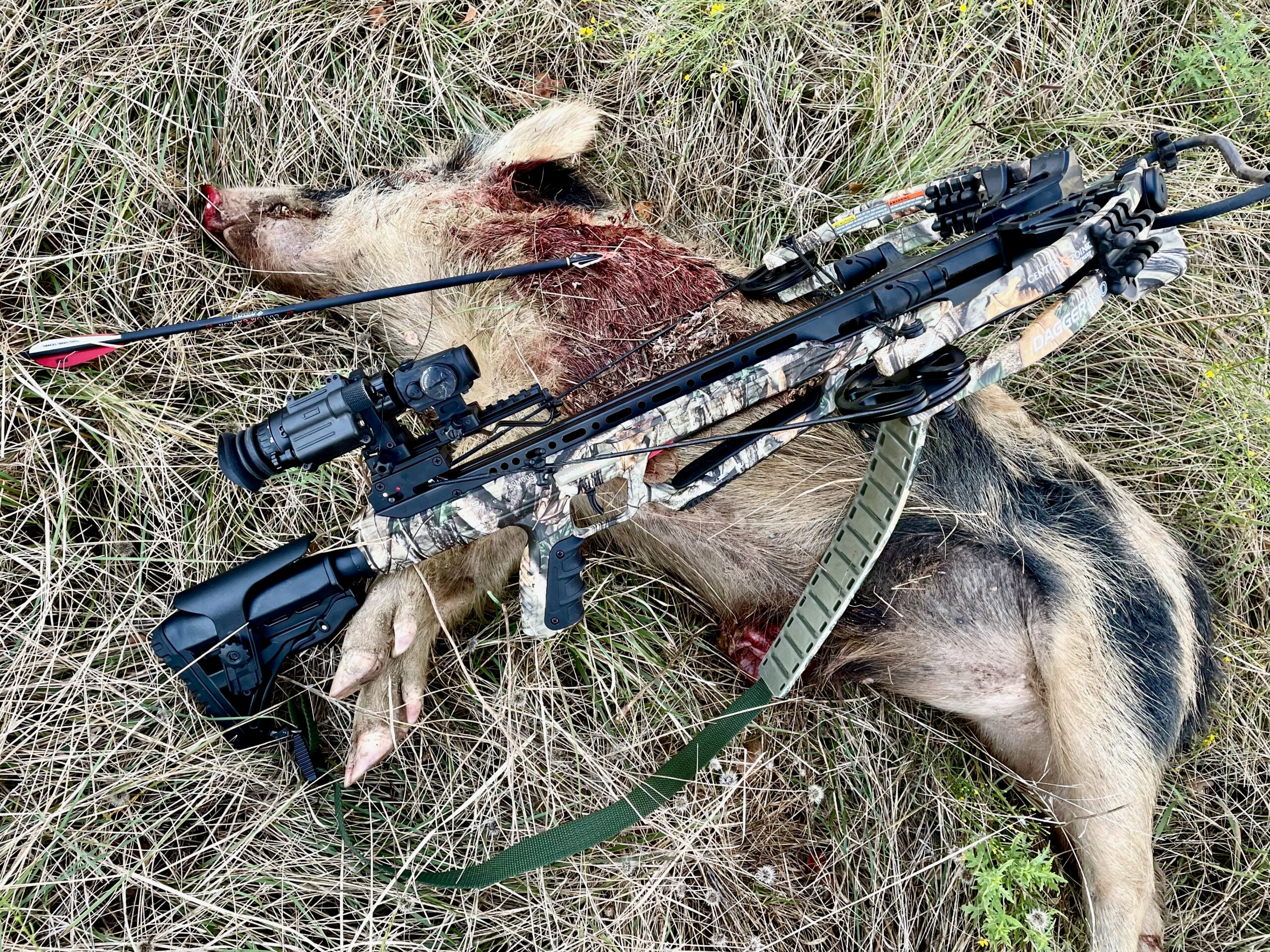 PVS-14 Night Vision Scope on a crossbow.