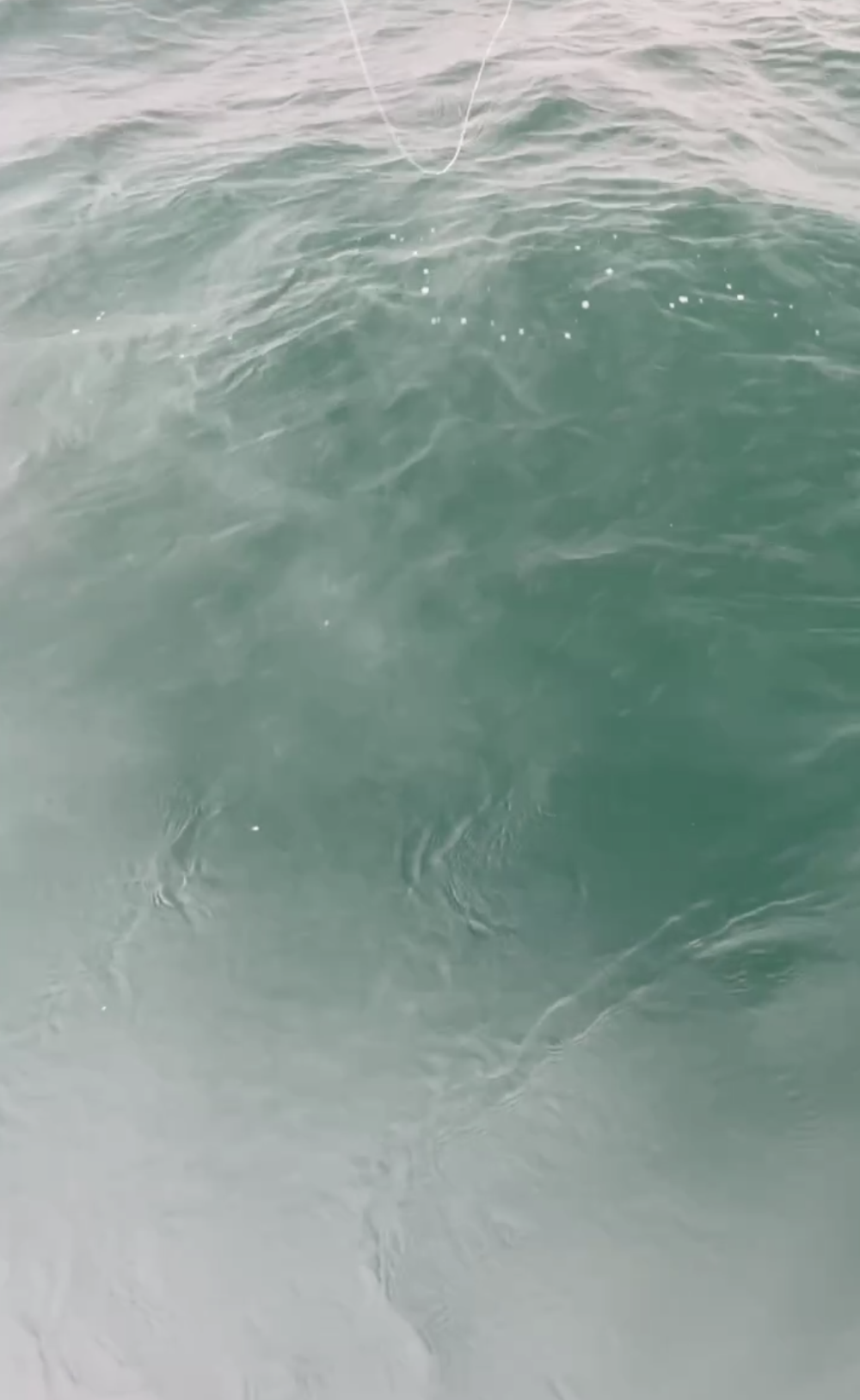 The Best Polarized Sunglasses for Fishing of 2023