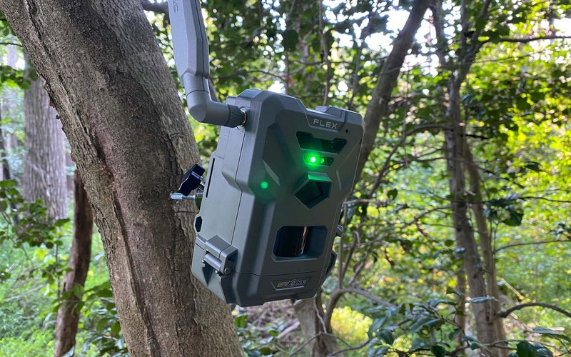 Deer Hunting Gear photo