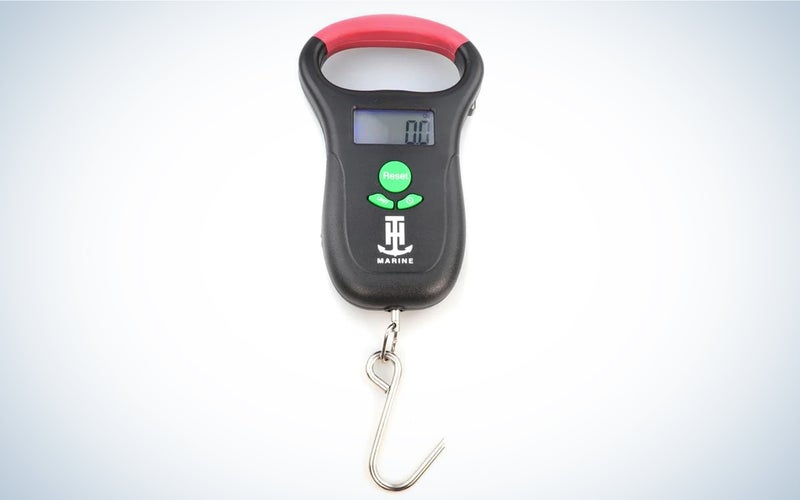 The T-H Marine Digital Scale is the best budget.