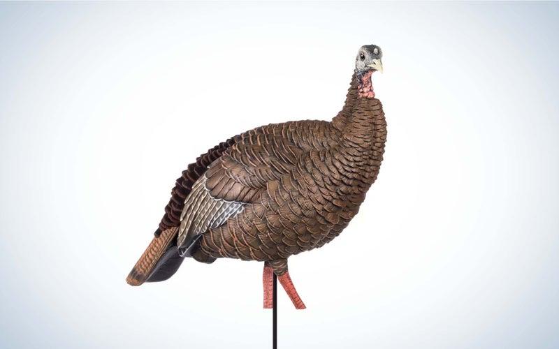 the best hen turkey decoy