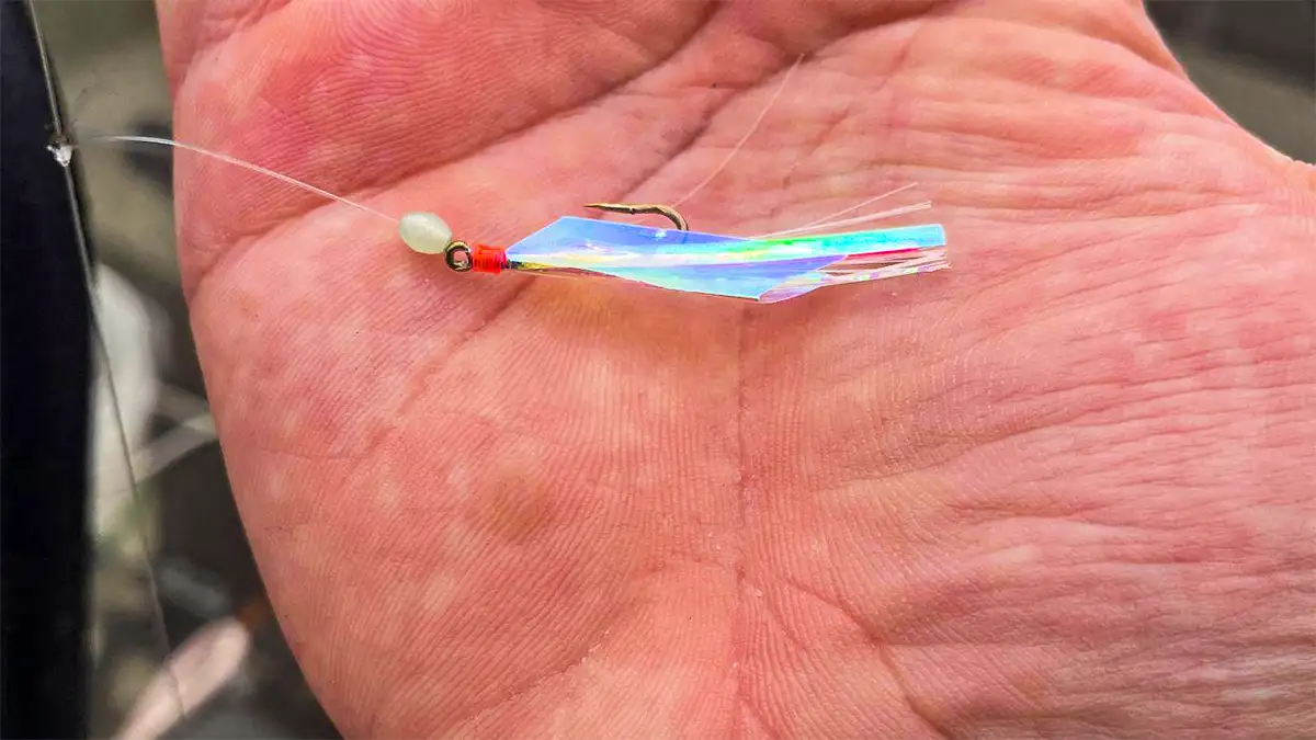 bait catching sabiki rig