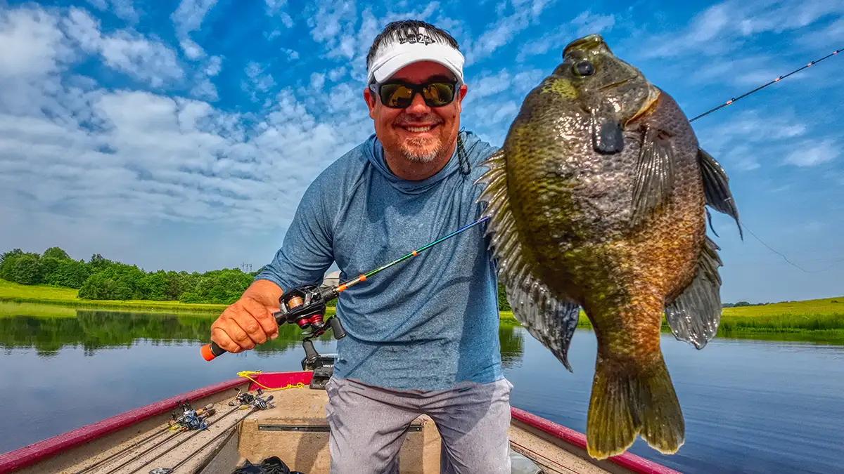 jason big bluegill sight fishing with sight master lenses and hobie snook sunglasses