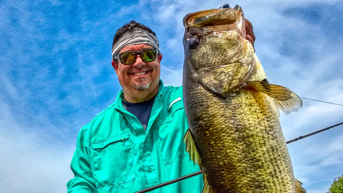 seeing bass fry underwater led to this bass