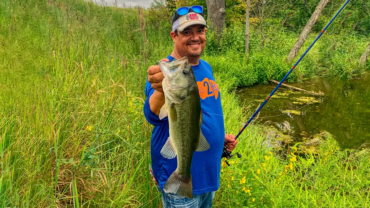 Thick grass pond fishing
