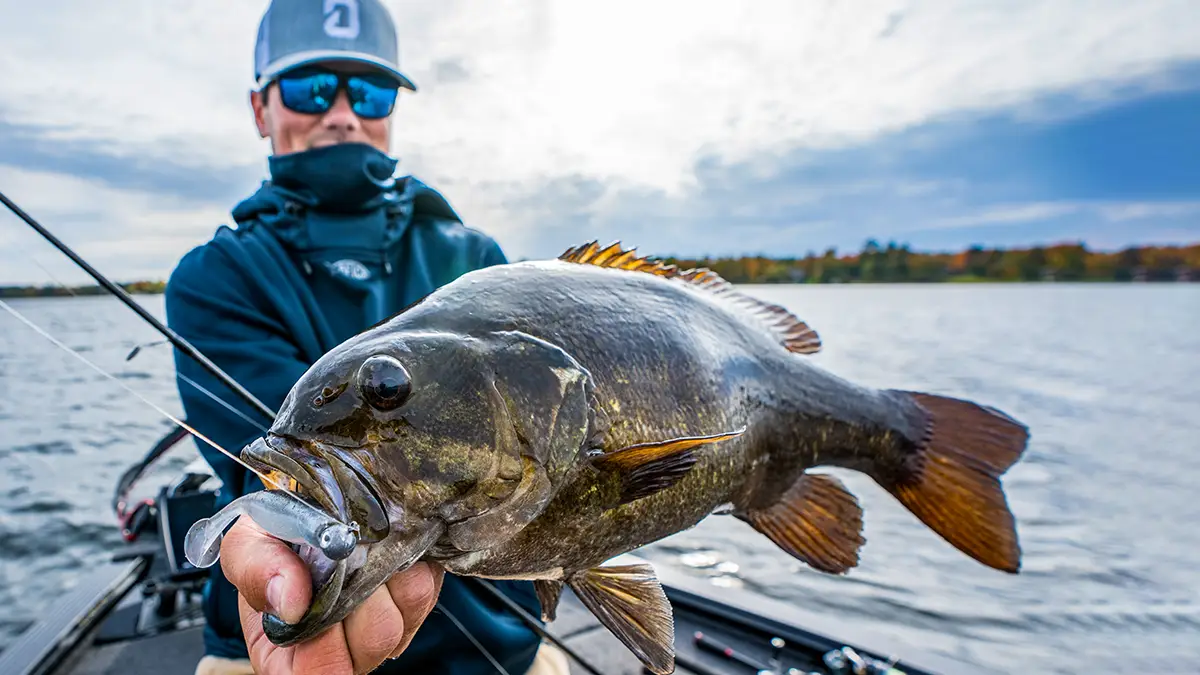 kobie with a nice smallie on a small swimbait