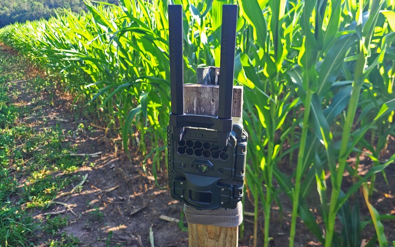 The Reconyx Hyperfire 2 Celluar is the best overall cellular trail camera.