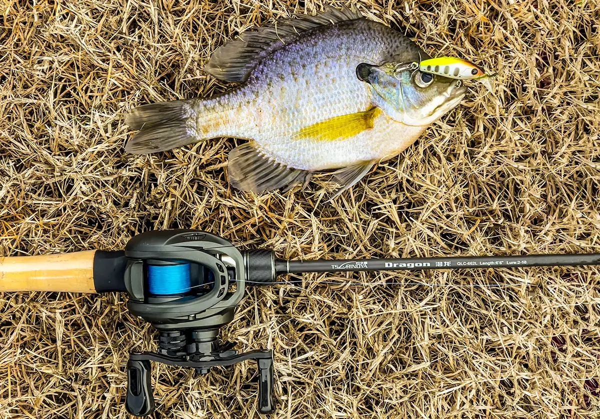 panfish go-to setup