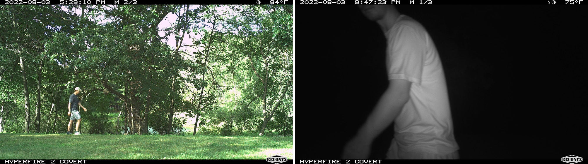 Reconyx camera test.