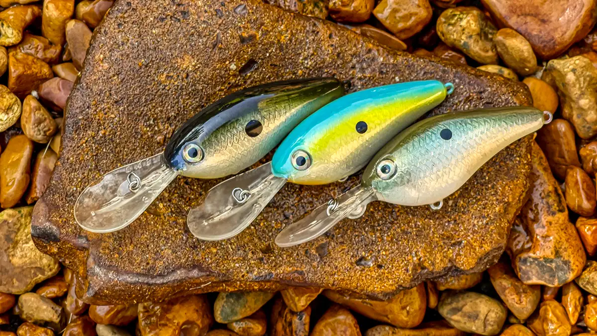 custom painted strike king 8xd crankbaits for ledge fishing