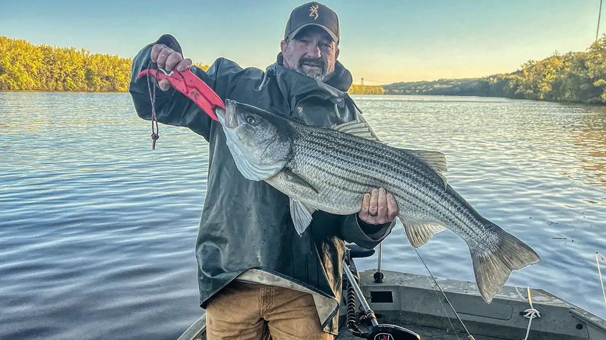 handle stripers properly with grippers and a second hand