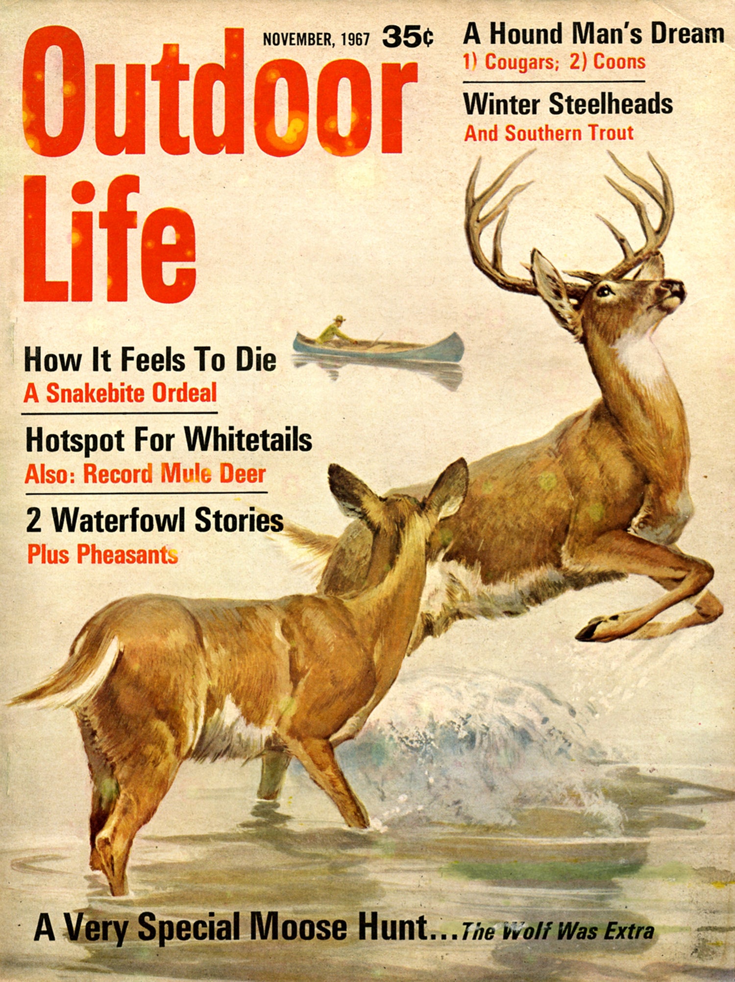 November 1967: If OL has an iconic cover scene, this is it—an illustration of a trophy critter with a hunter in the background.